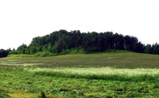 9. BURVELIU ALKAKALNIS.jpg